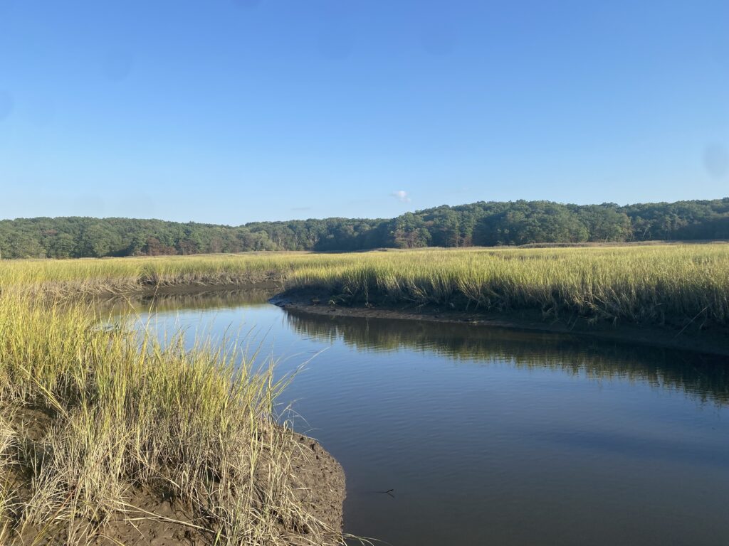a body of water with grass and trees around it (MyCoast AI)