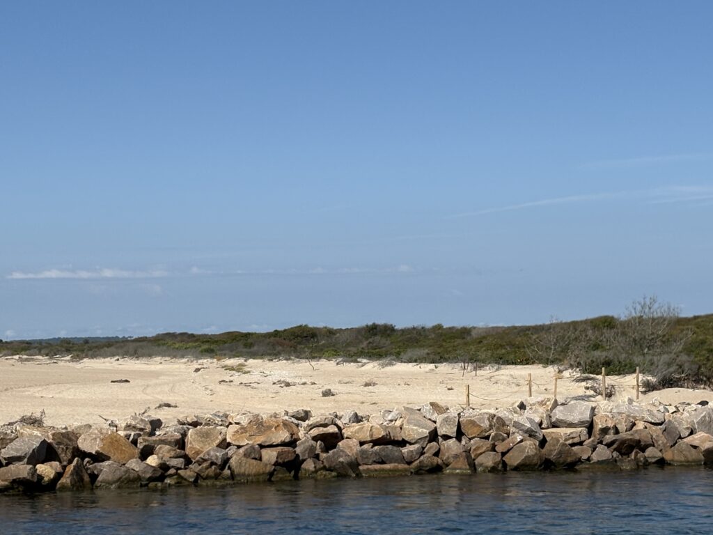 a rocky beach with trees in the background (MyCoast AI)