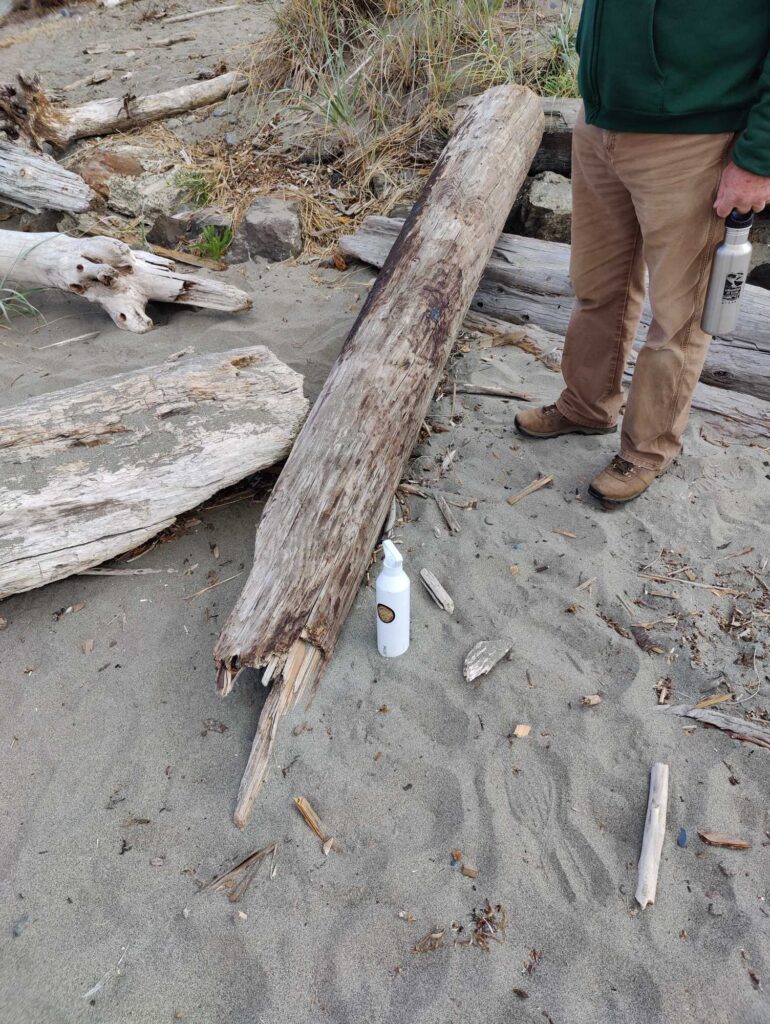 a person standing next to a tree trunk (MyCoast AI)