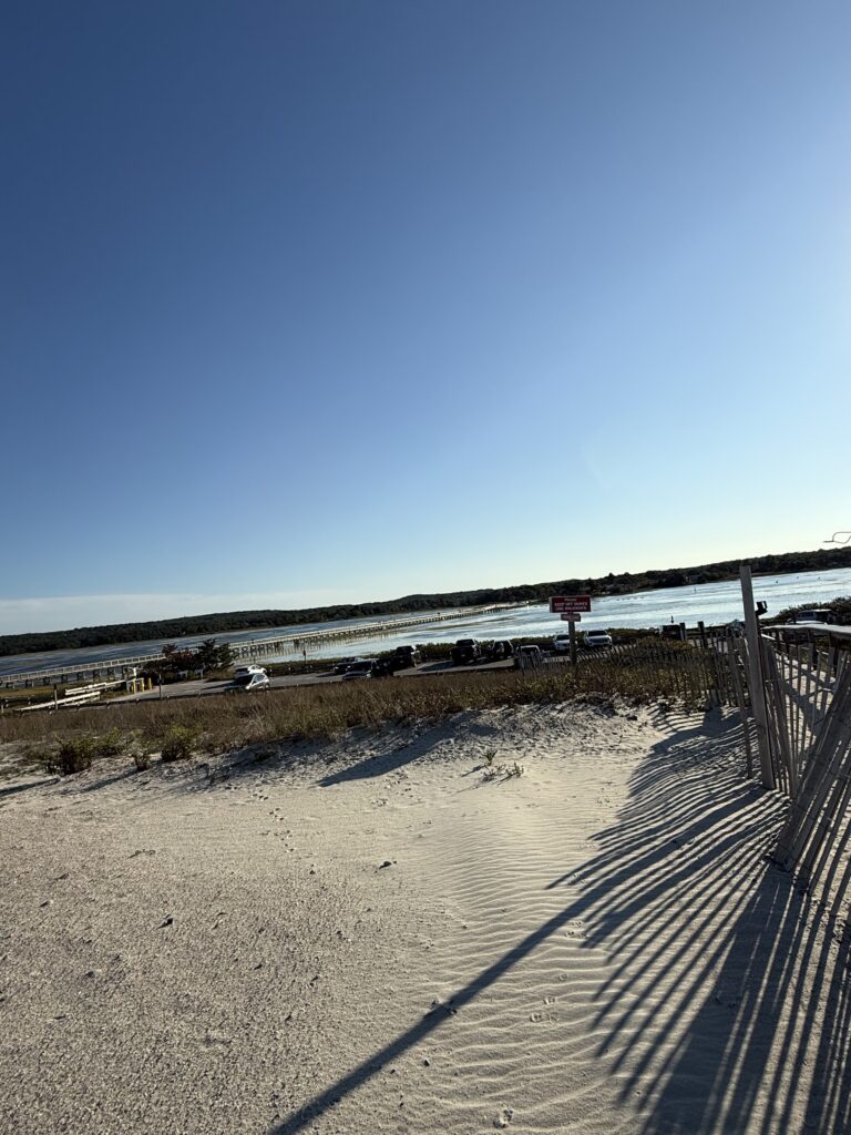 a sandy beach with a fence (MyCoast AI)