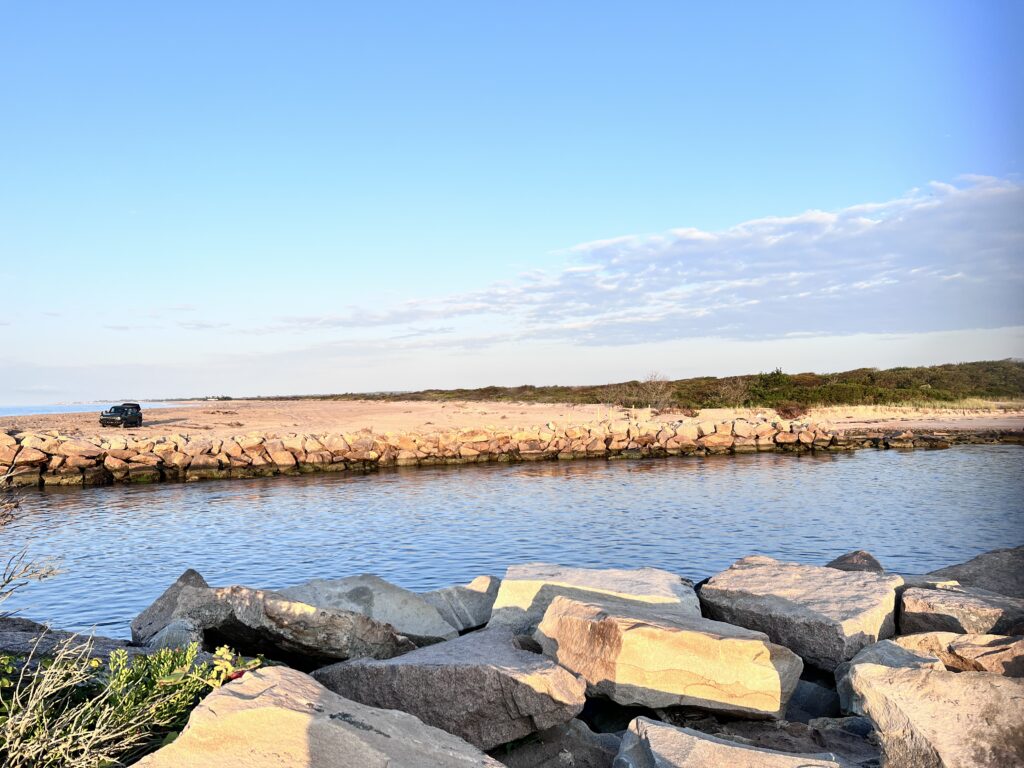 a body of water with rocks and grass around it (MyCoast AI)