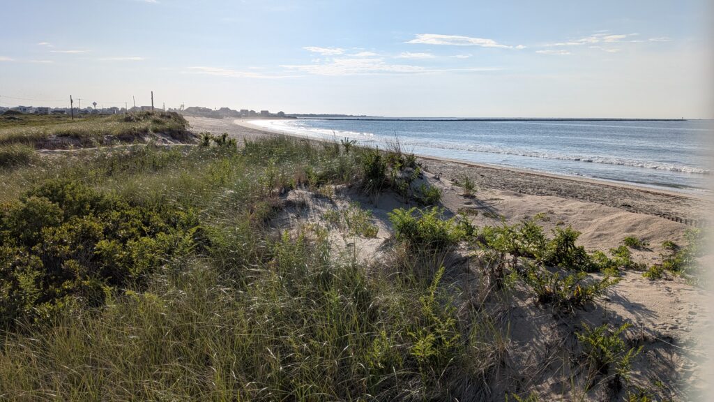 a beach with bushes and sand (MyCoast AI)