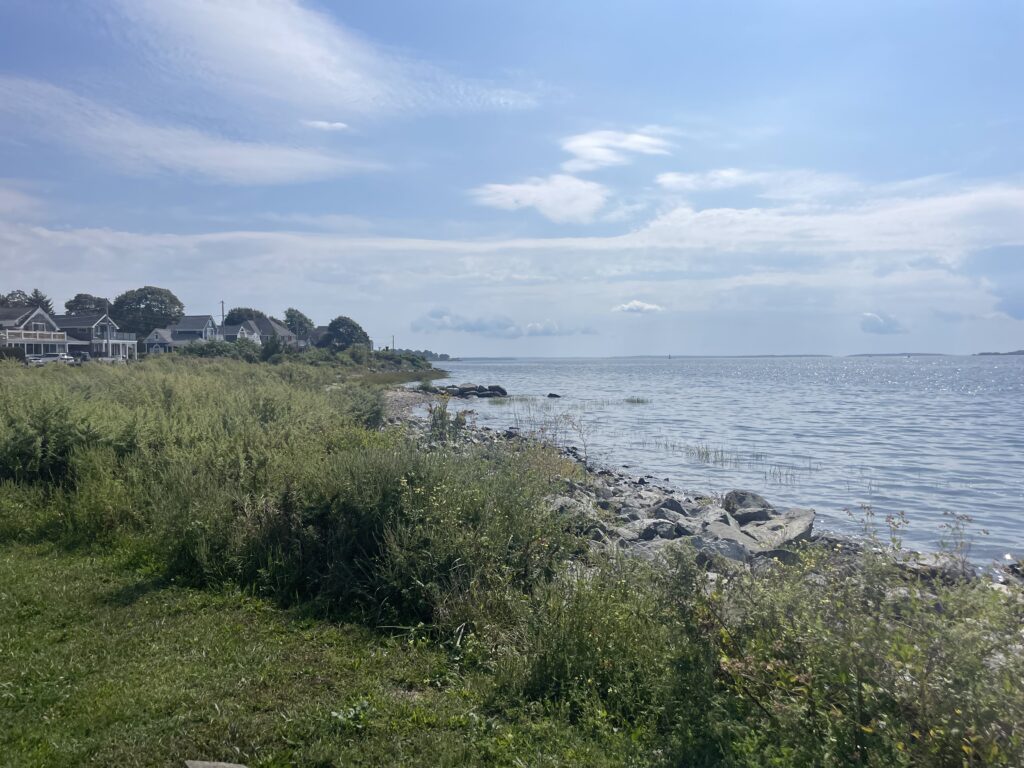 a body of water with houses along it (MyCoast AI)
