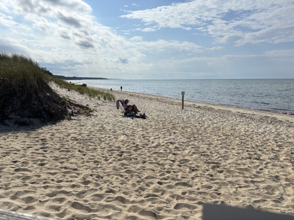a couple people sitting on a beach (MyCoast AI)