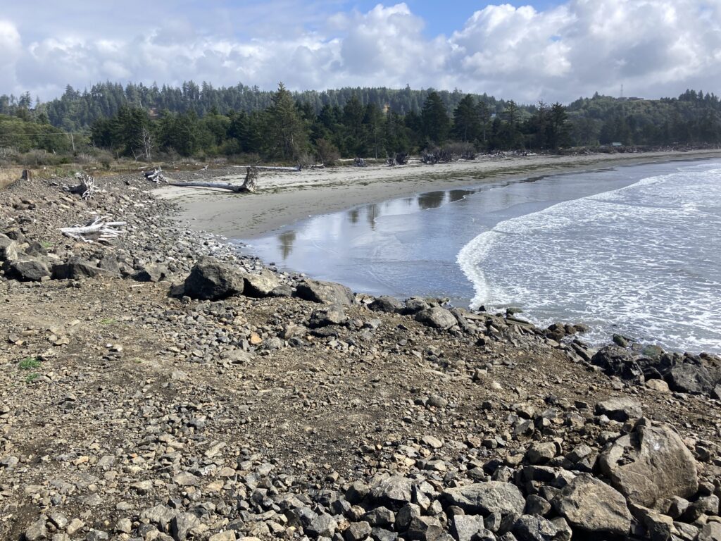 a rocky beach with a body of water and trees in the background (MyCoast AI)