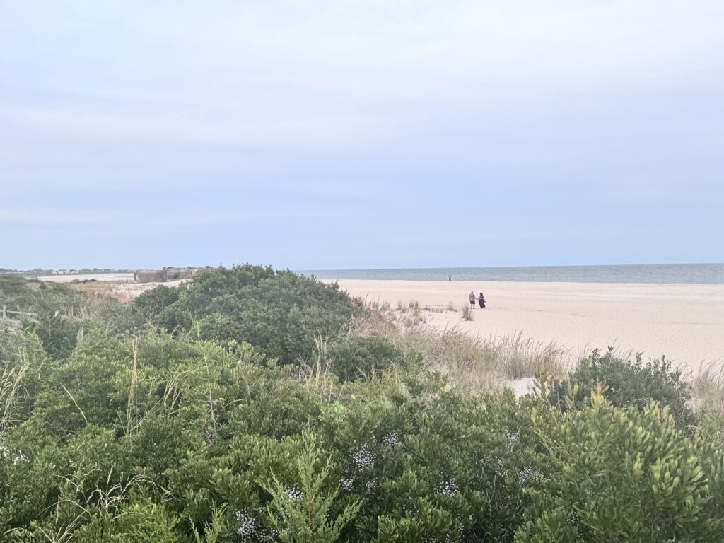 people walking on a beach (MyCoast AI)