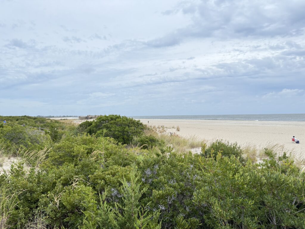 a beach with trees and bushes (MyCoast AI)