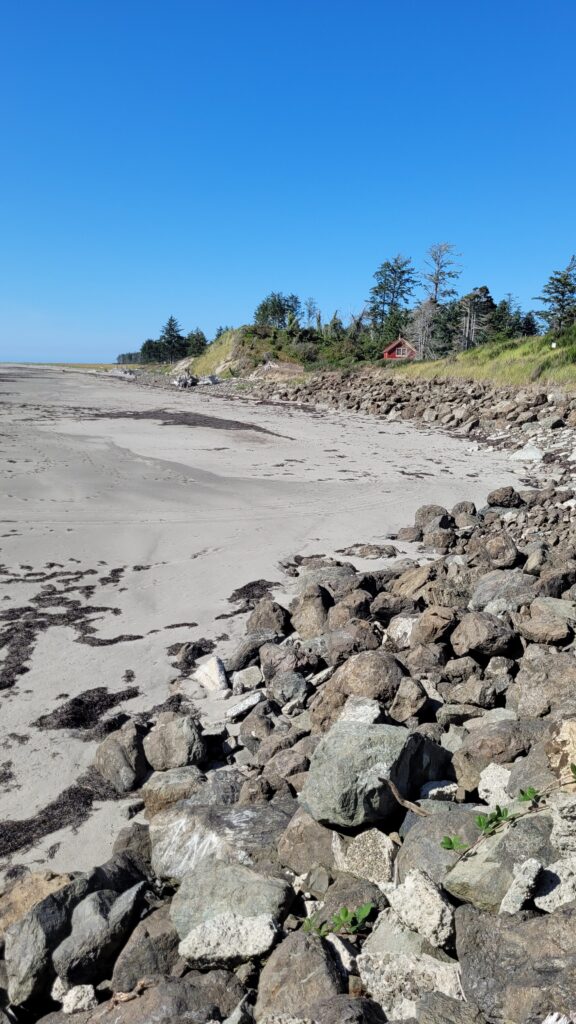 a rocky beach with trees in the background (MyCoast AI)