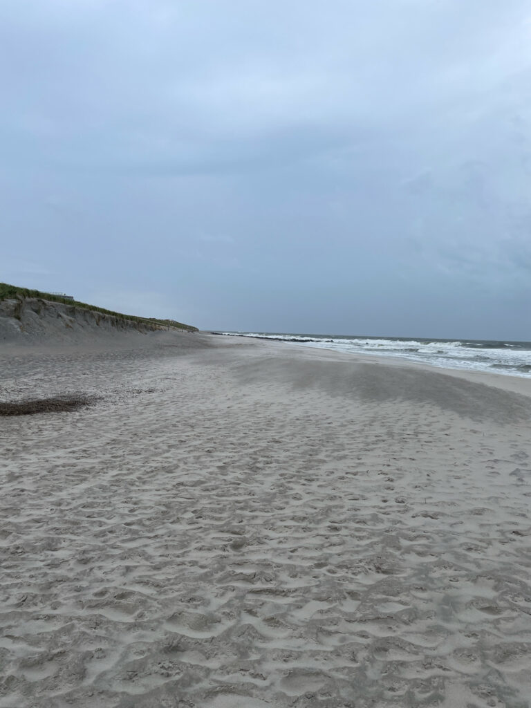 a sandy beach with waves crashing on it (MyCoast AI)