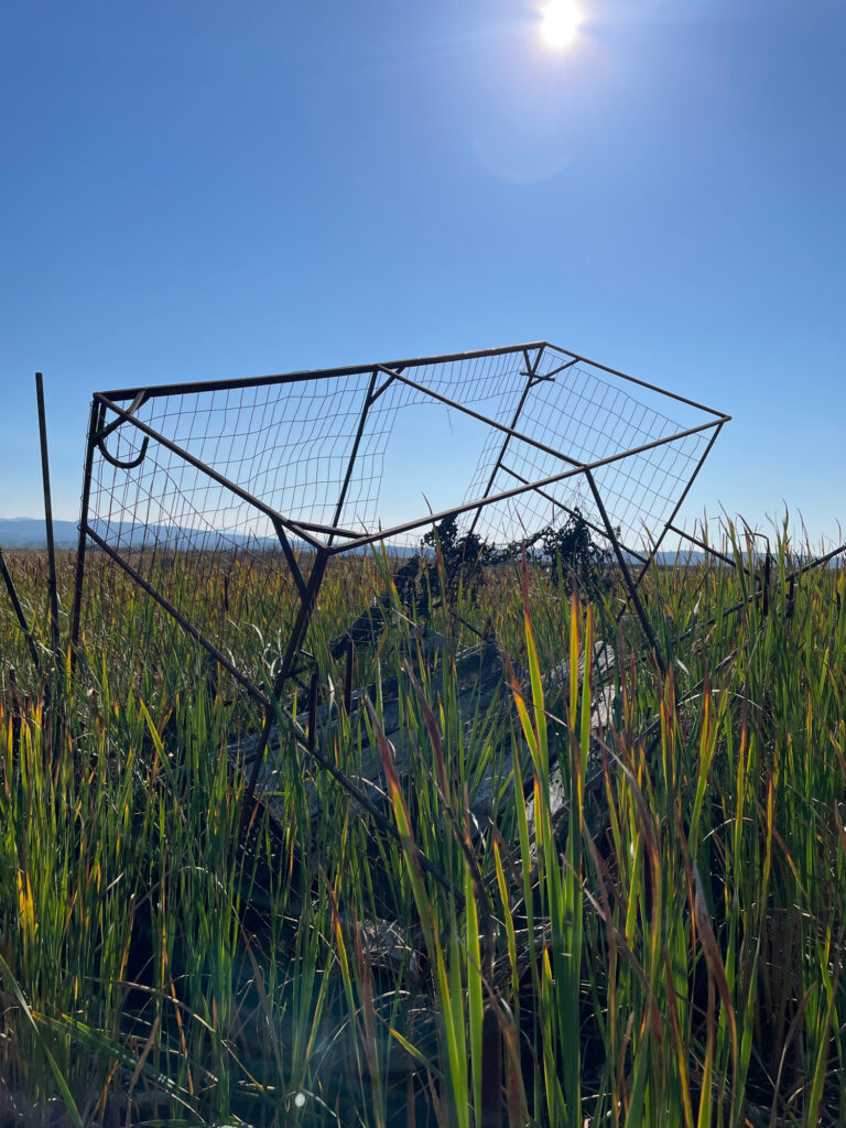a metal frame in a field (MyCoast AI)