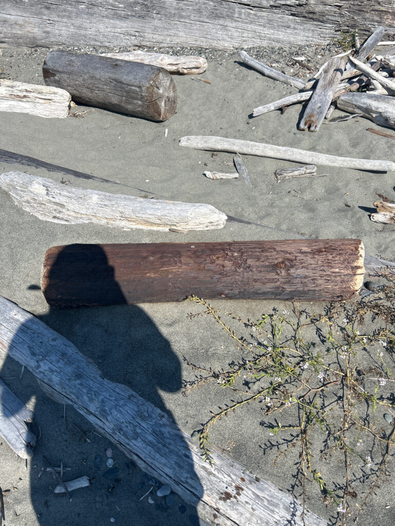 a person's shadow on a wooden surface (MyCoast AI)