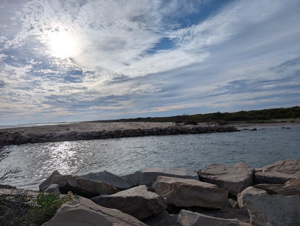 a rocky beach with a body of water and trees in the background (MyCoast AI)