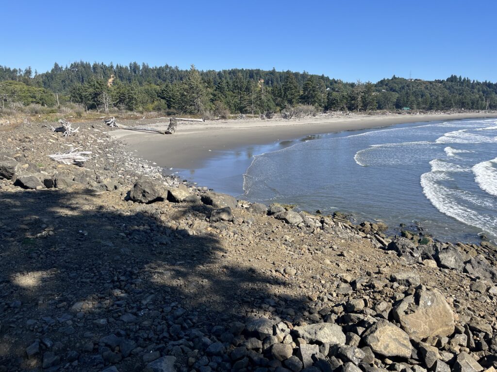 a rocky beach with trees in the background (MyCoast AI)