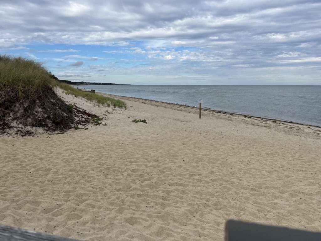 a sandy beach with a fence (MyCoast AI)
