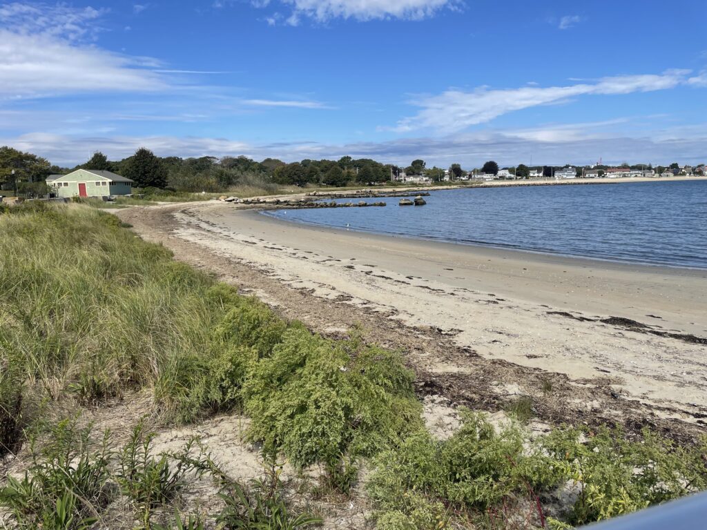 a beach with a body of water (MyCoast AI)