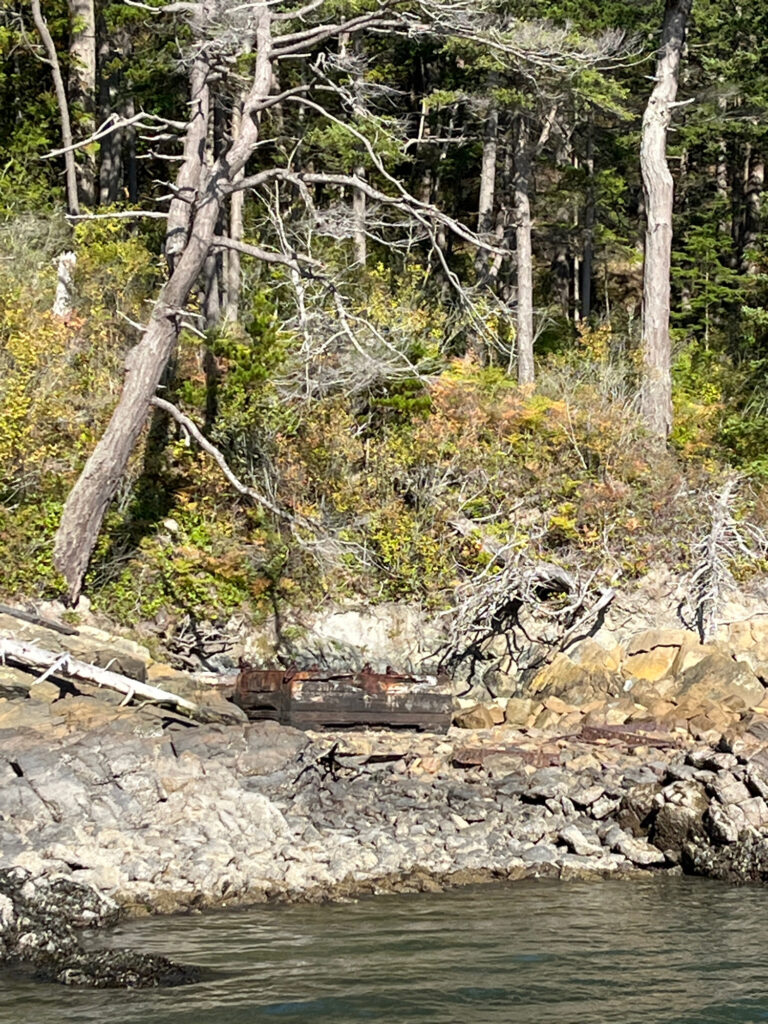 a river with trees and rocks (MyCoast AI)