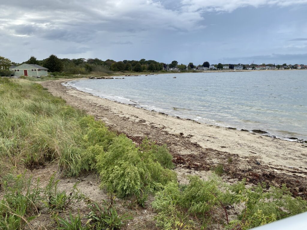 a beach with grass and water (MyCoast AI)