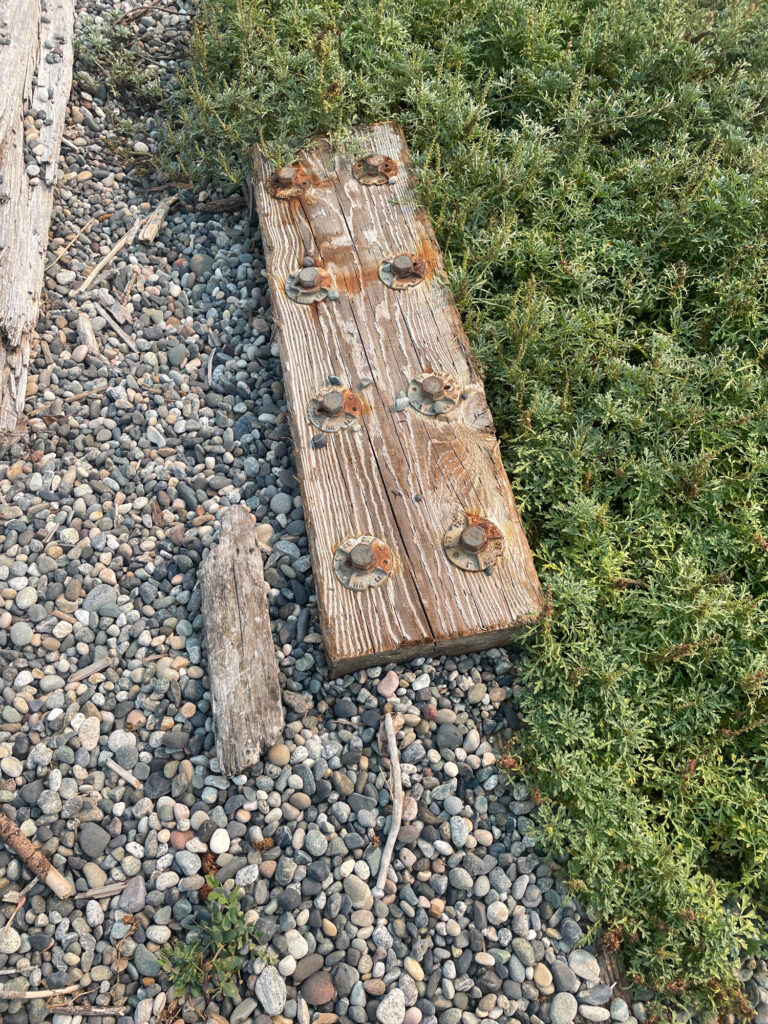 a group of wood pieces on a rocky surface (MyCoast AI)