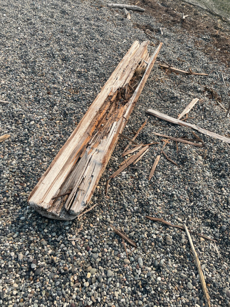 a wooden bench on a rocky ground (MyCoast AI)