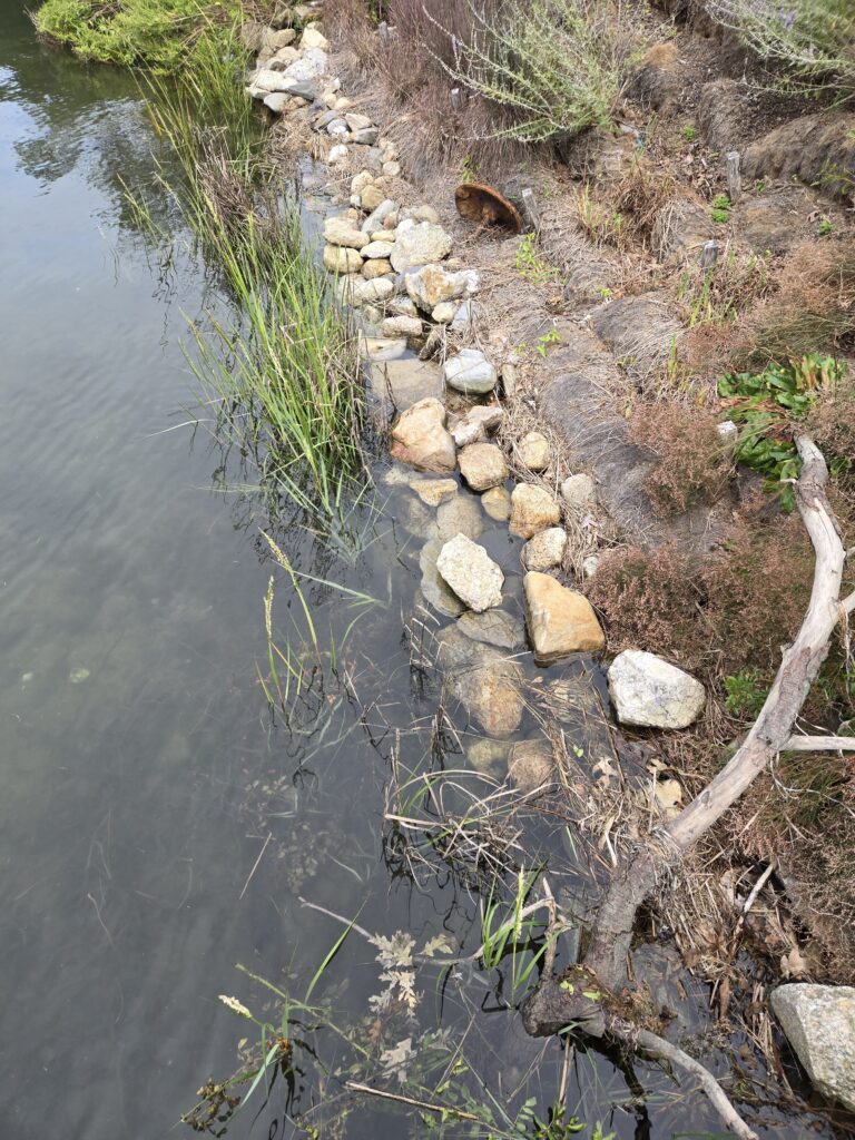 a river with rocks and grass (MyCoast AI)