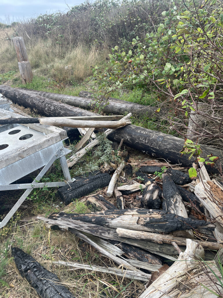 a pile of cut down trees (MyCoast AI)