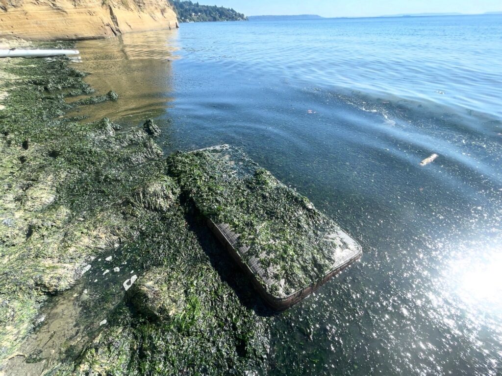 a large rock on a beach (MyCoast AI)