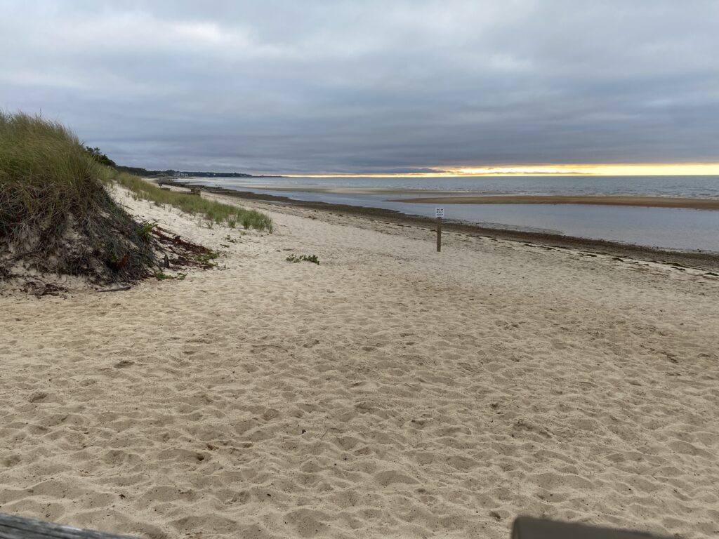 a sandy beach with a body of water in the background (MyCoast AI)