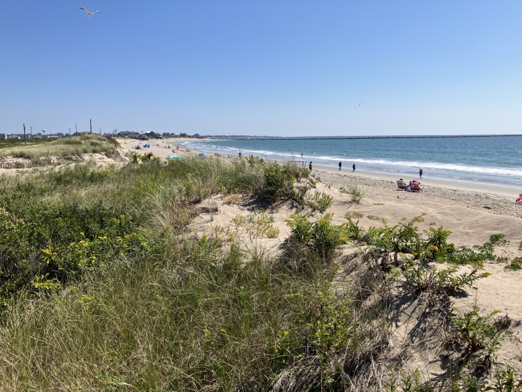 a beach with people and plants (MyCoast AI)