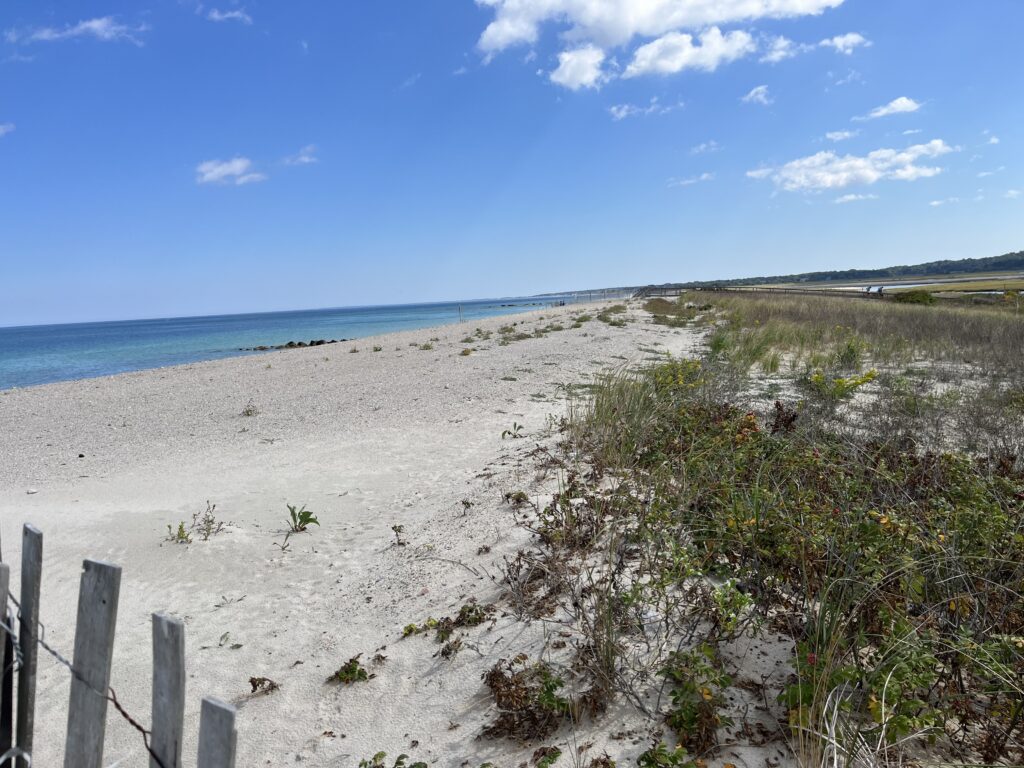 a sandy beach with bushes and a fence (MyCoast AI)