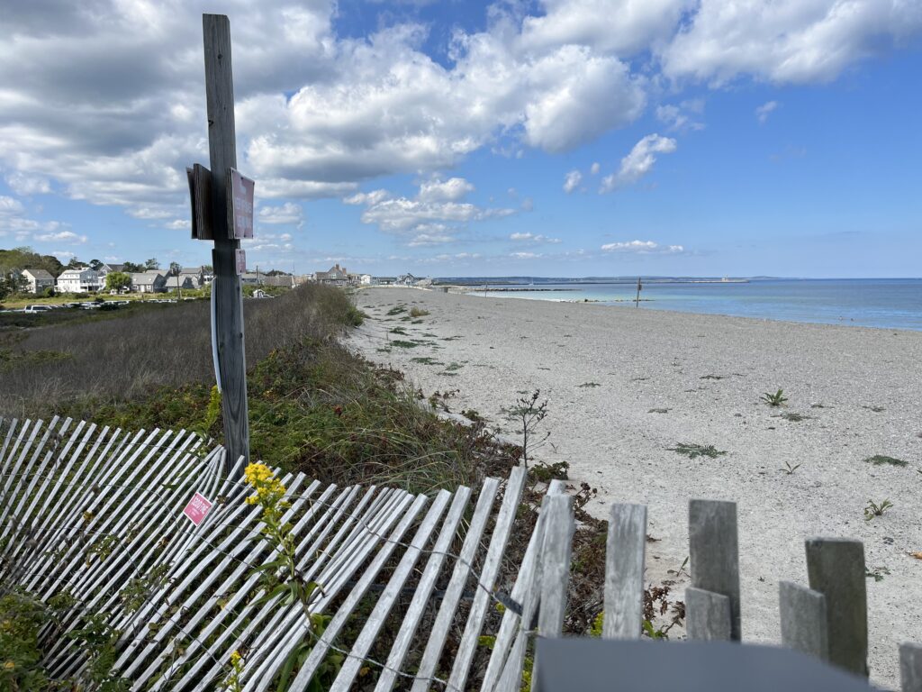 a beach with a white fence (MyCoast AI)