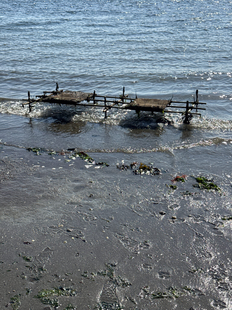 a beach with a pier (MyCoast AI)