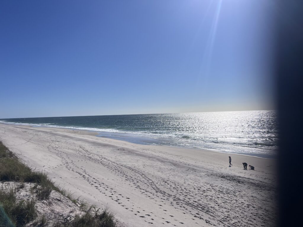 people on a beach (MyCoast AI)