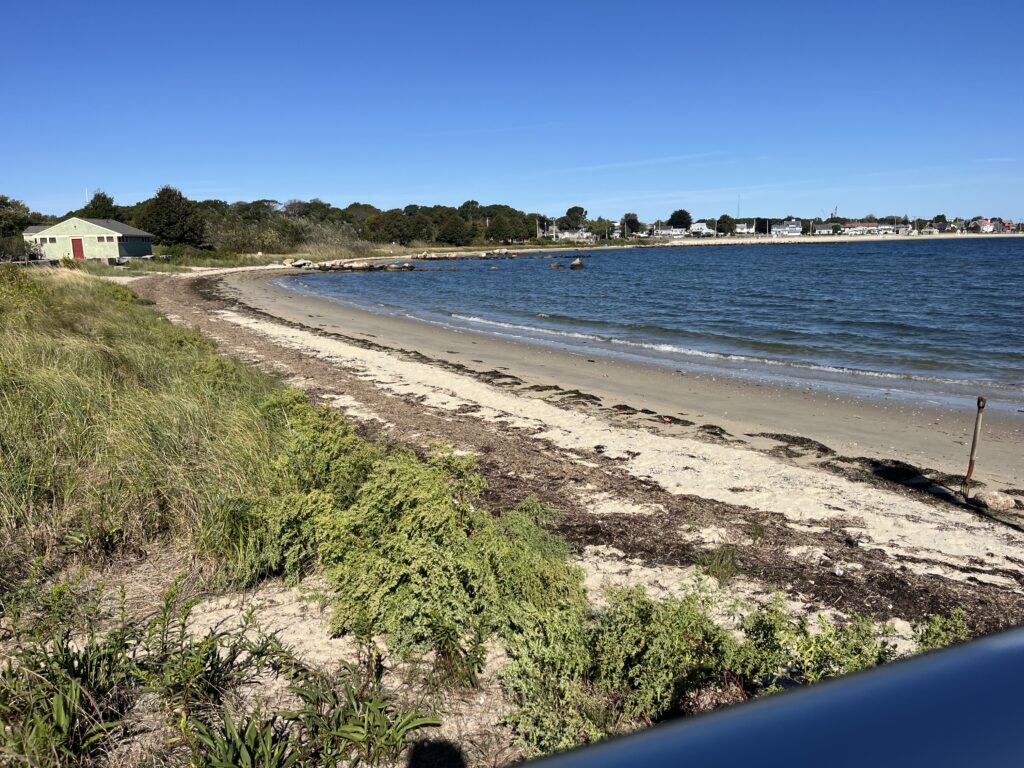 a beach with a body of water (MyCoast AI)