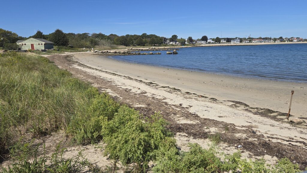 a sandy beach with a body of water and buildings in the background (MyCoast AI)