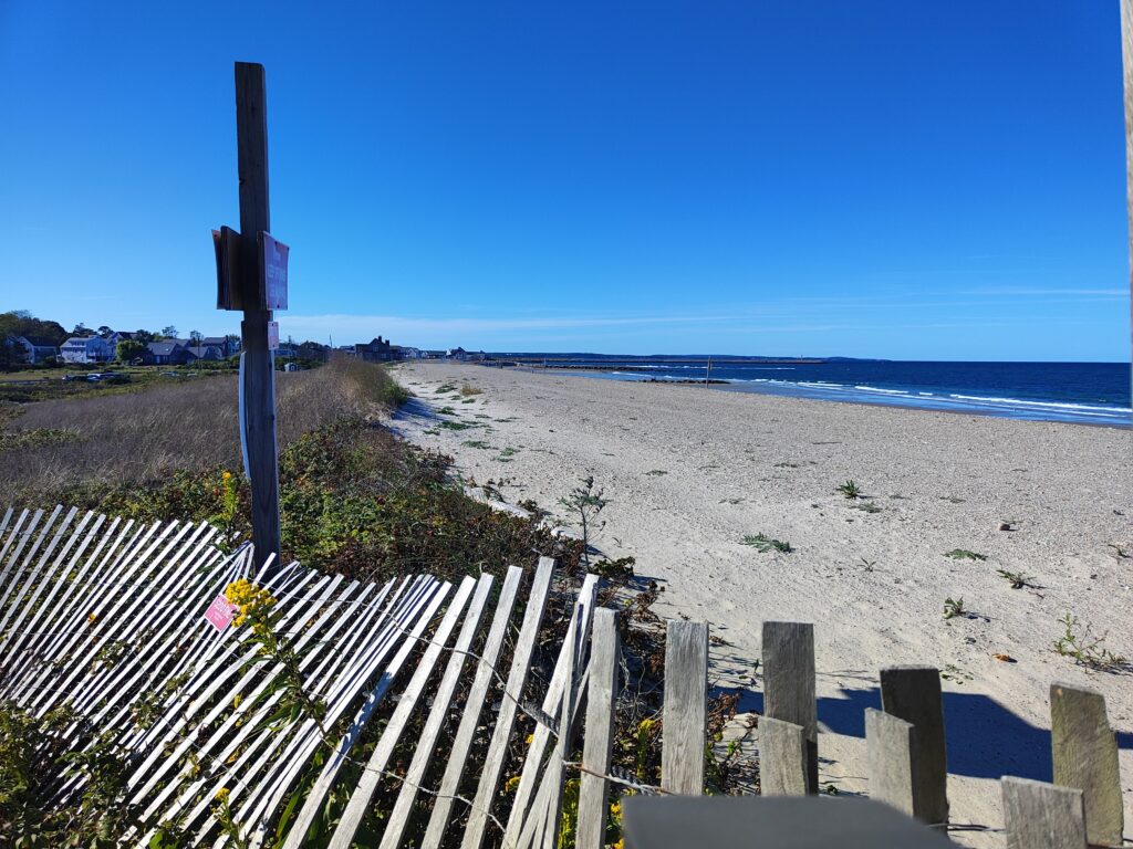 a beach with a white picket fence (MyCoast AI)