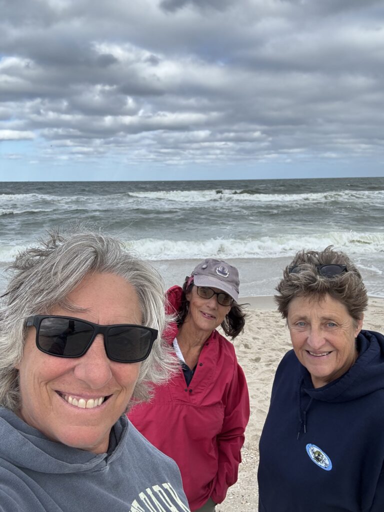 a group of people on a beach (MyCoast AI)