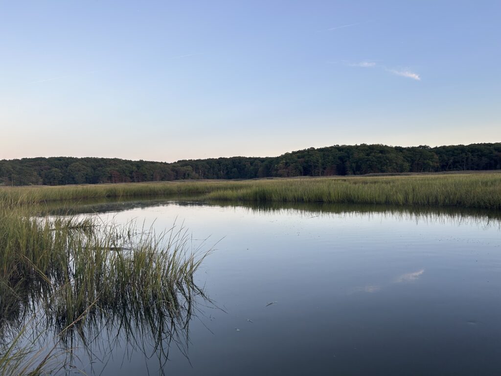 a body of water with grass and trees in the background (MyCoast AI)