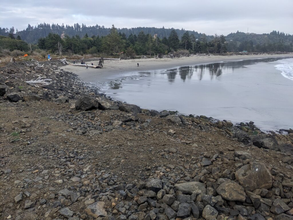 a rocky beach with a body of water and trees in the background (MyCoast AI)