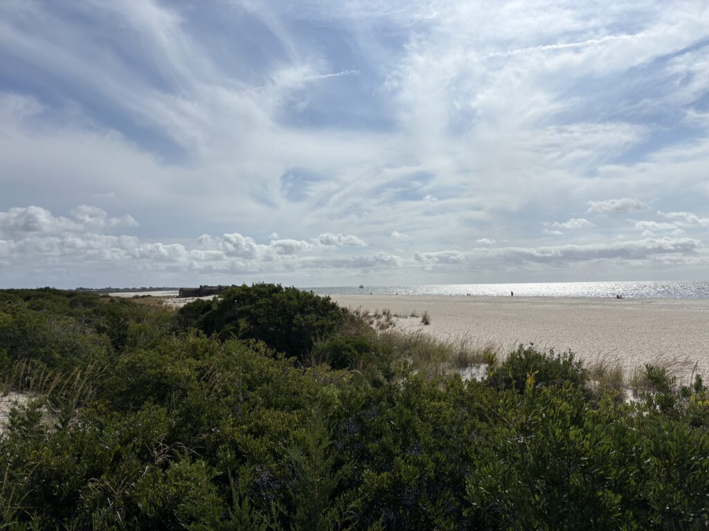 a beach with trees and bushes (MyCoast AI)