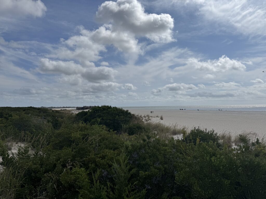 a beach with trees and bushes (MyCoast AI)