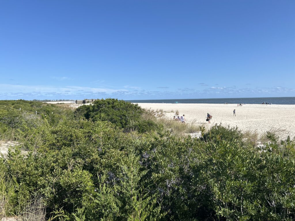 a group of people walking on a beach (MyCoast AI)