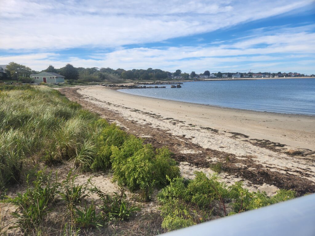 a sandy beach with grass and bushes (MyCoast AI)