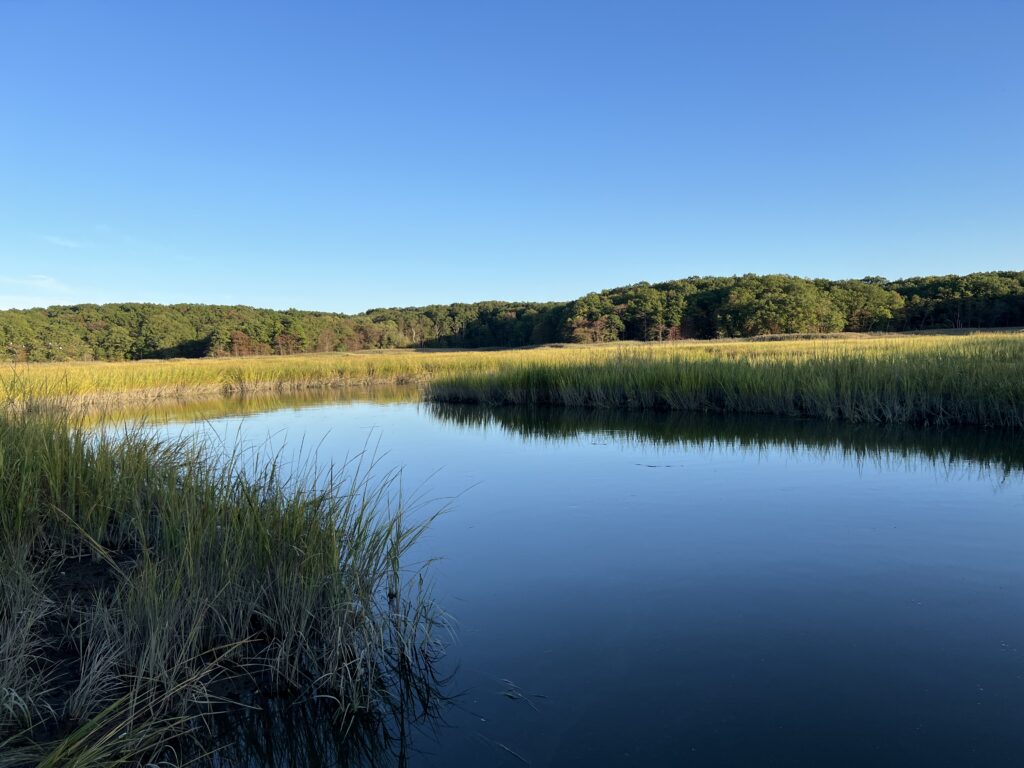 a body of water with grass and trees around it (MyCoast AI)