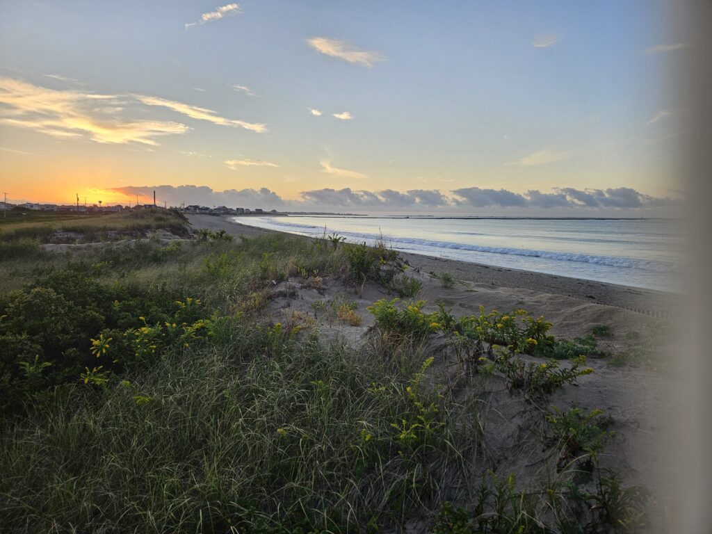 a beach with grass and sand (MyCoast AI)