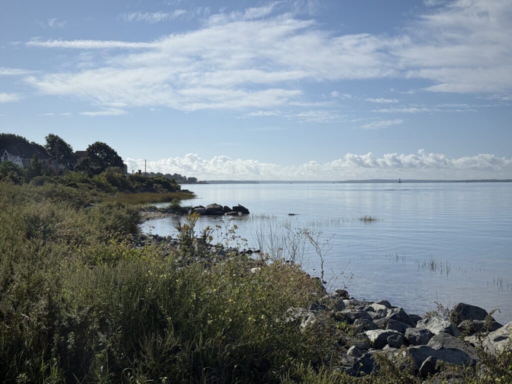 a body of water with rocks and plants around it (MyCoast AI)