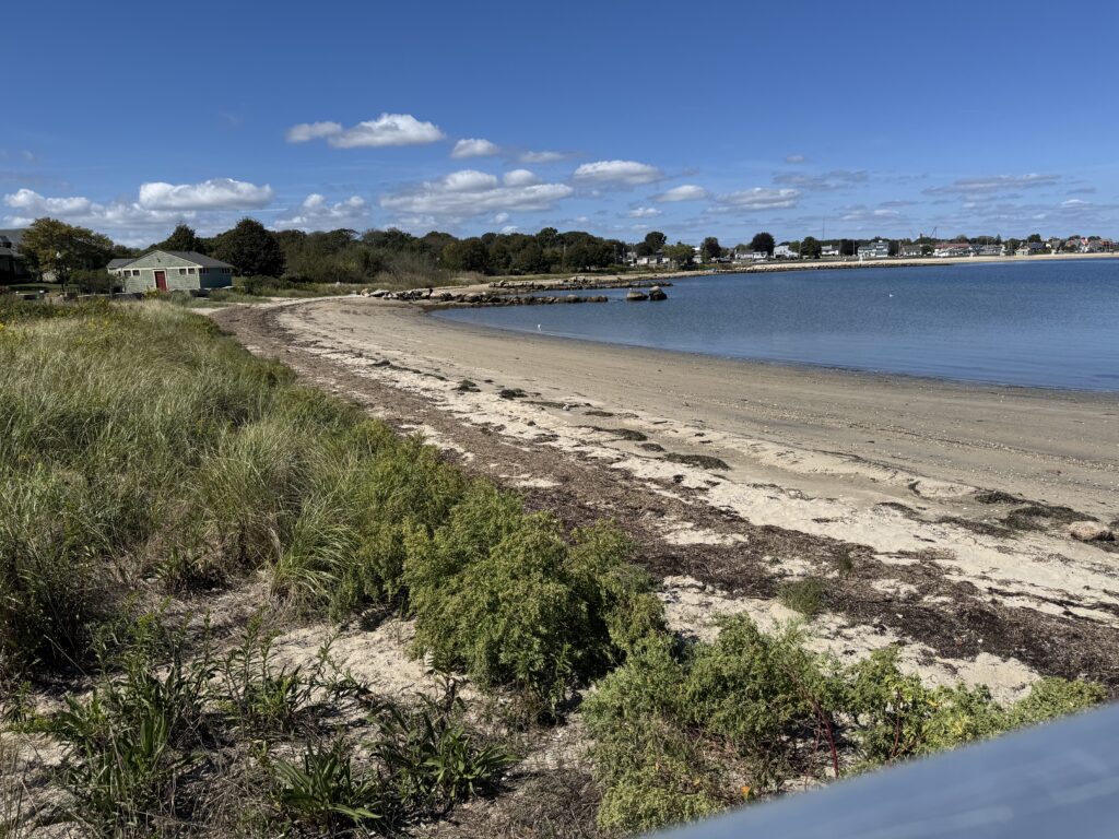 a beach with a body of water (MyCoast AI)