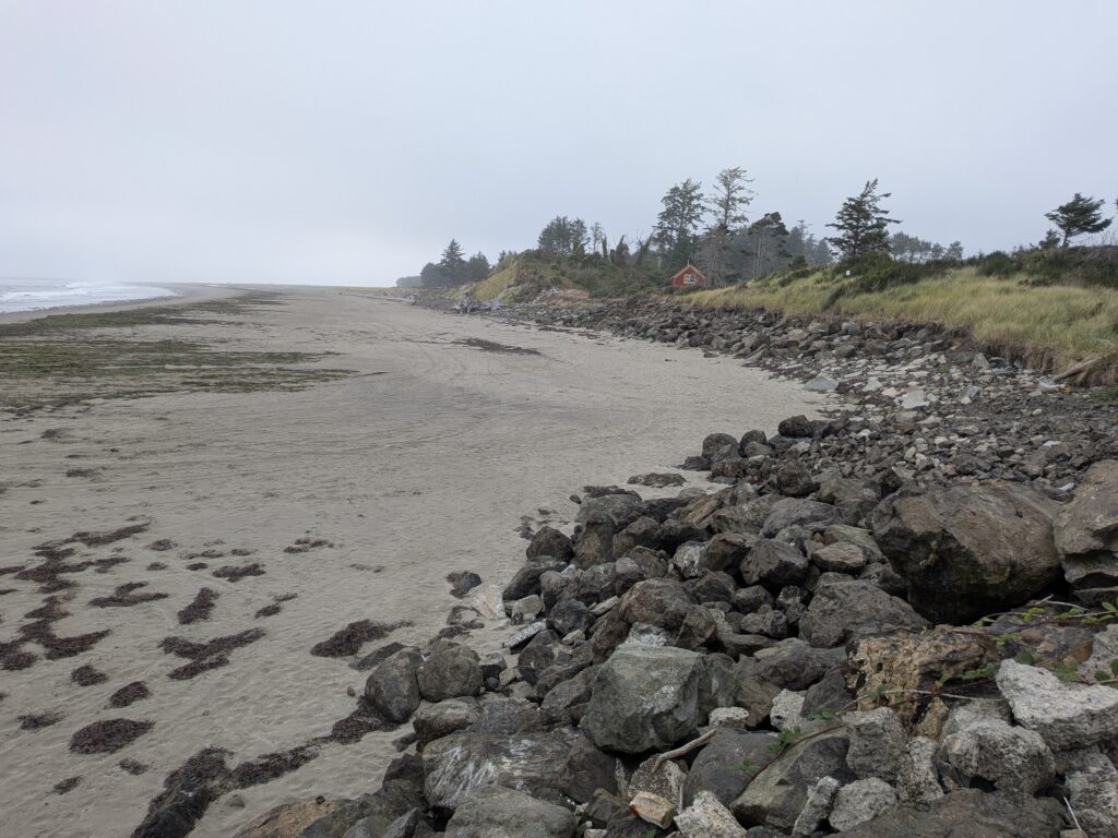 a rocky beach with trees in the background (MyCoast AI)