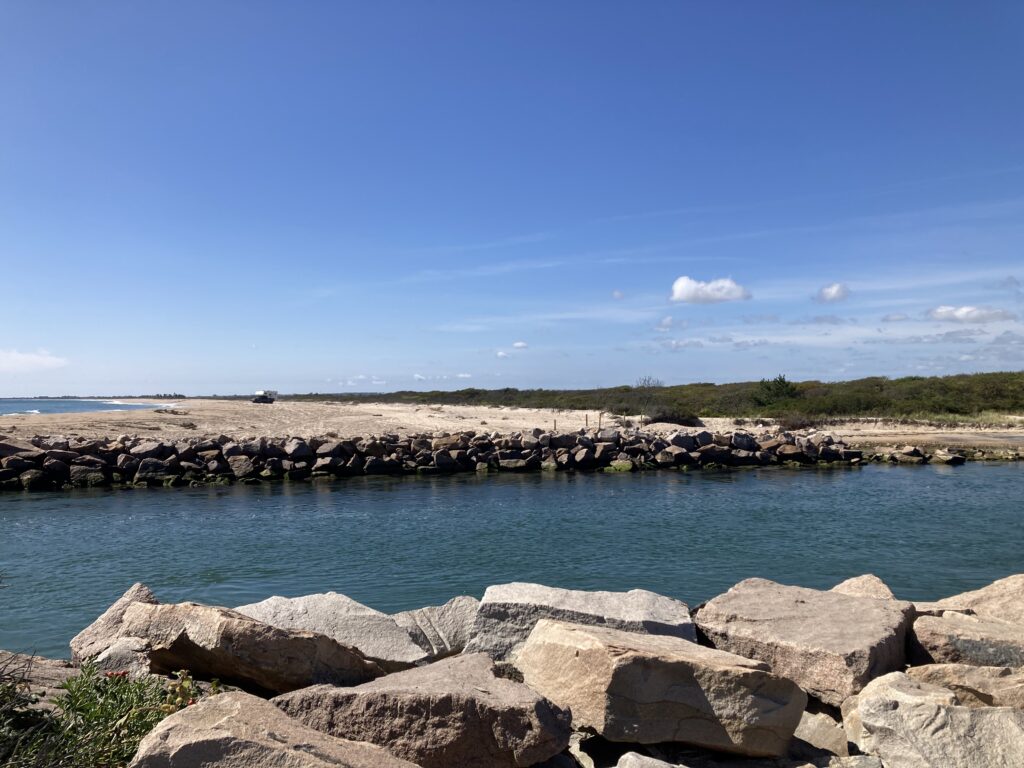 a body of water with rocks and grass around it (MyCoast AI)