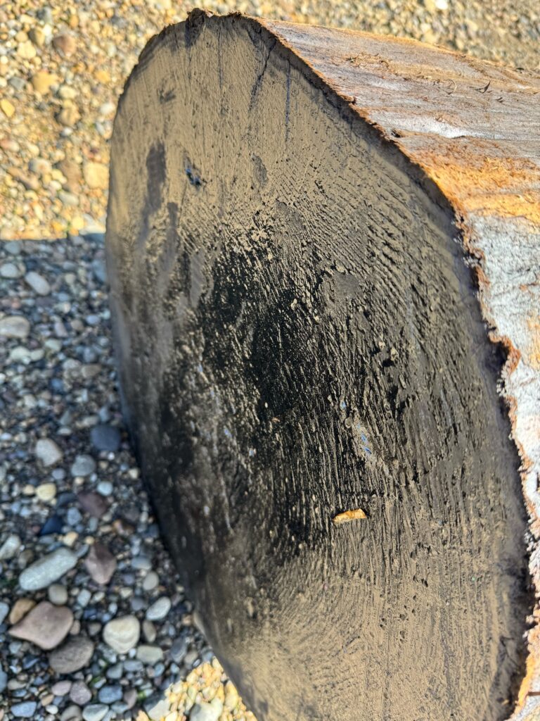 a rock with a hole in it (MyCoast AI)