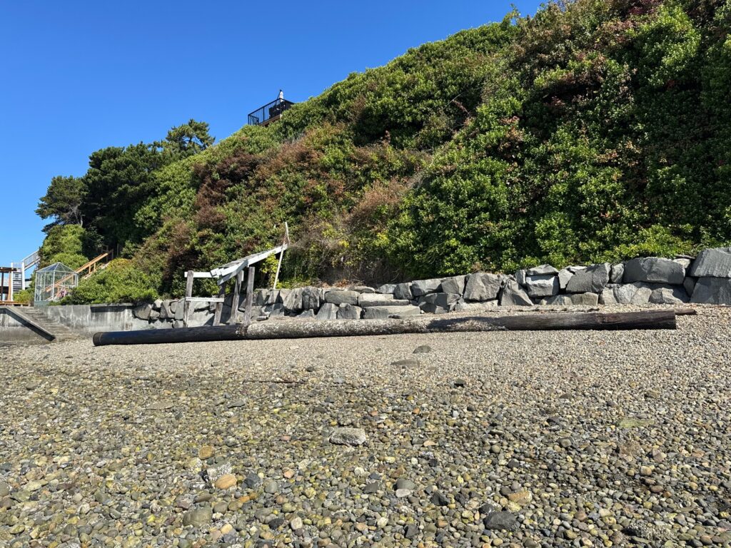 a bench on a rocky beach (MyCoast AI)